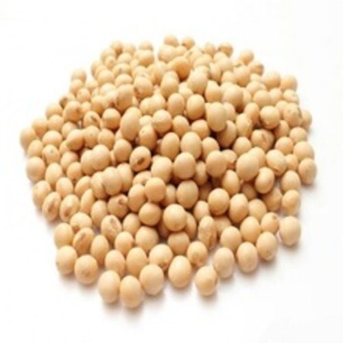 Fine Natural Taste High Protein Healthy Dried Soybean Seeds