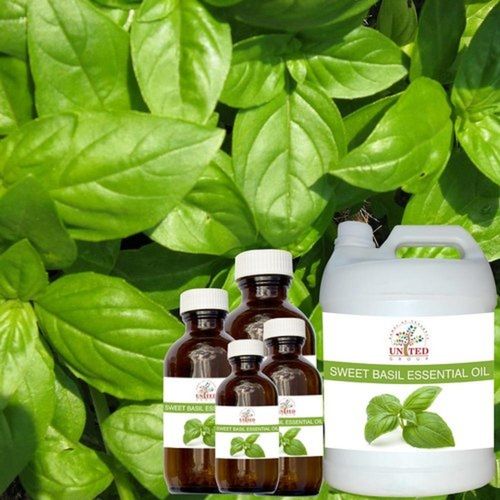 Herbal Antiseptic Green Sweet Basil Leaf Essential Oil For Pharmaceutical Use Age Group: All Age Group