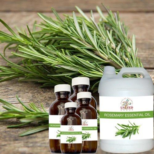 Natural Antibacterial Green Rosemary Essential Oil For Pharmaceutical Use Age Group: All Age Group