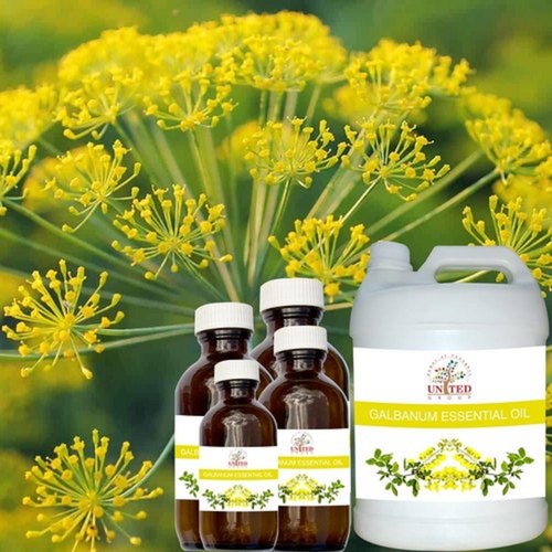 Natural Galbanum Essential Oil For Rheumatism Arthritis Joint Pain And Skin Care Age Group: Adults