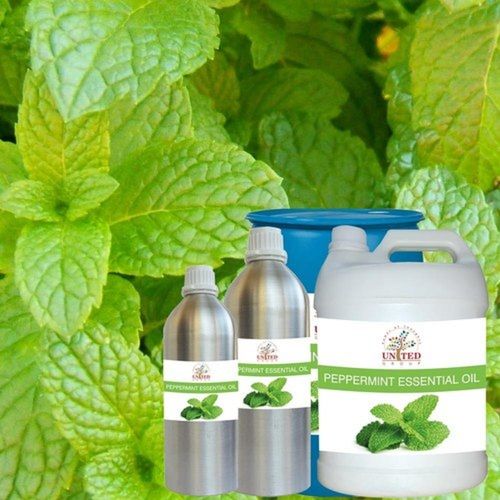 Natural Peppermint (Pudina) Essential Oil For Cosmetic, Pharma, Food Industry