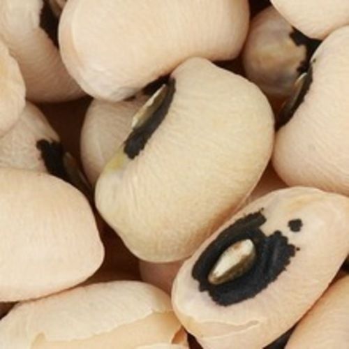 Rich In Protein Healthy Natuaral Taste Dried Black Eye Beans