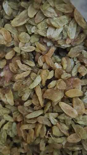 A Grade 100% Pure, Natural, High Nutrition Sweet Dried Raisin (Kishmish)