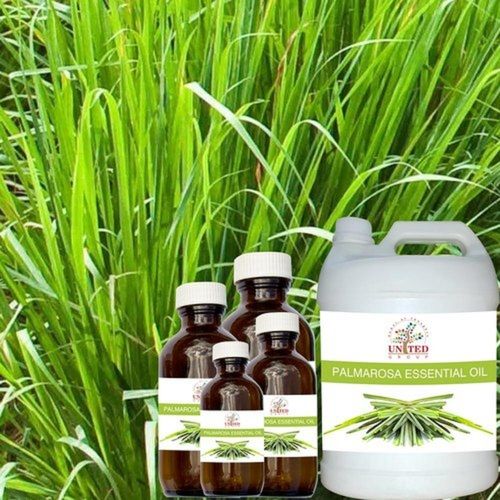 Antifungal Antibacterial Green Palmarosa Essential Oil For Pharmaceutical Use Age Group: All Age Group