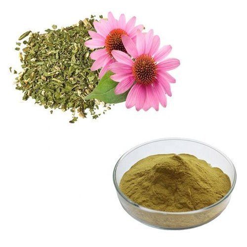 Yellowish-Brown Echinacea Extract Powder