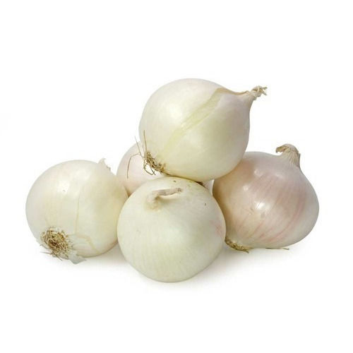 Enhance The Flavour Healthy Natural Rich Taste Fresh White Onion