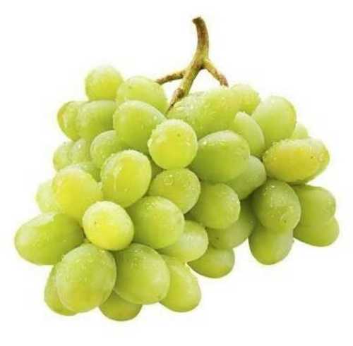 Fresh Grapes 