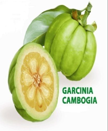 Off White To Cream Powder Garcinia Cambogia Extract 60% Hca