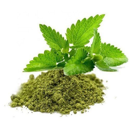 Ursolic Acid 2.5% Tulsi Extract Powder Grade: Medicine Grade