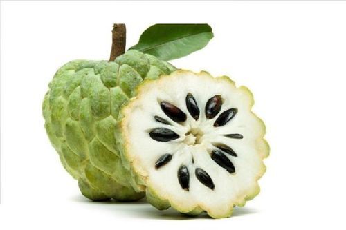 Antioxidants Rich Natural Delicious Taste Healthy Green Fresh Custard Apple