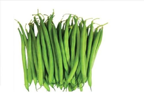 Maturity 100 Percent Healthy Natural Taste Organic Green Fresh French Beans