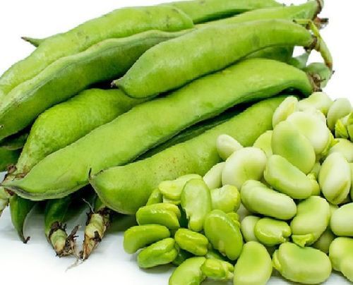Maturity 100 Percent Rich Natural Taste Healthy Organic Green Fresh Guar Beans