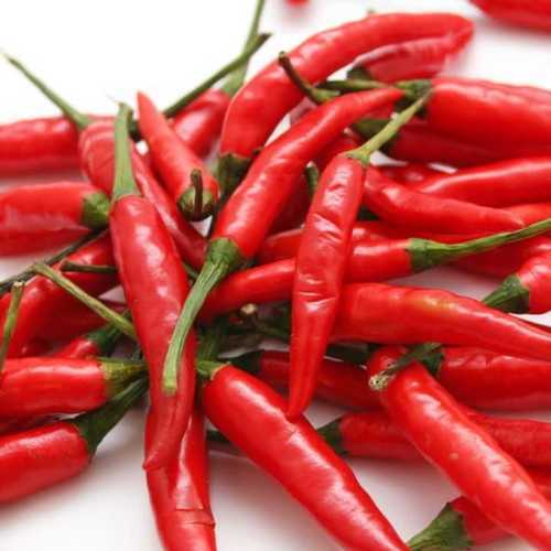 Potassium per 322mg 9 Percent Hot Spicy Natural Taste Rich in Color Fresh Red Chilli