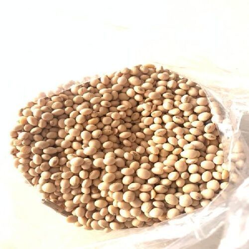 Fine Natural Taste High Protein Healthy Dried Soybean Seeds Shelf Life: 3 Months