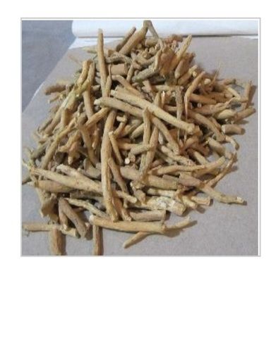 Dried and Gluten Free and 100 Percent Fresh Natural Brown Color Ashwagandha