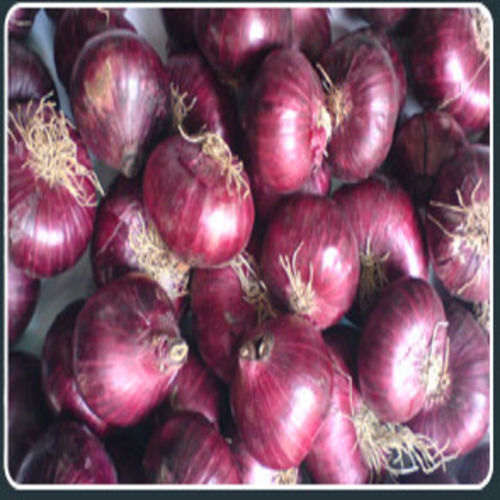 Fine Natural Rich Taste Healthy Organic Pink Big Rose Onion