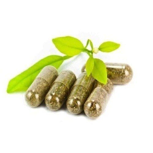 Herbal Shatavari Capsules 60 Capsules Blister Packing With 36 Months Shelf Life