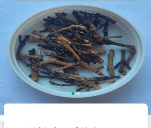 Natural Organic Cloves Stem Without Artificial Color And Free From Contamination