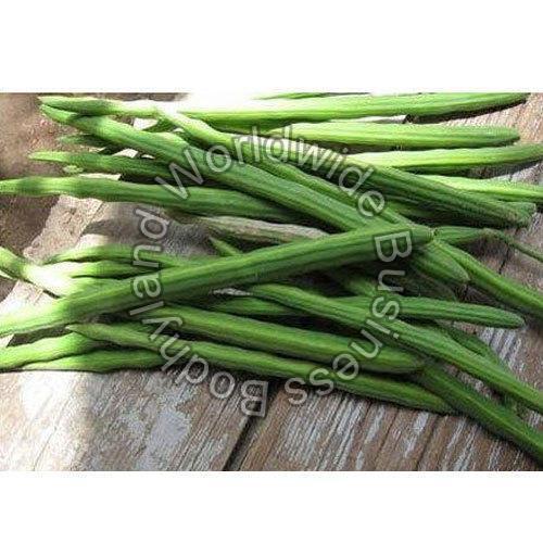 Pesticide Free Healthy Natural Rich Taste Organic Green Fresh Drumstick