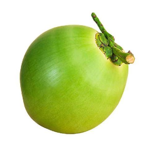 Whole Calcium 1 Percent Healthy Natural Rich Taste Green Fresh Tender Coconut