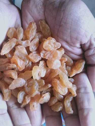 Elongated Natural Sweet Sun Dried Organic Golden Raisin Nuts