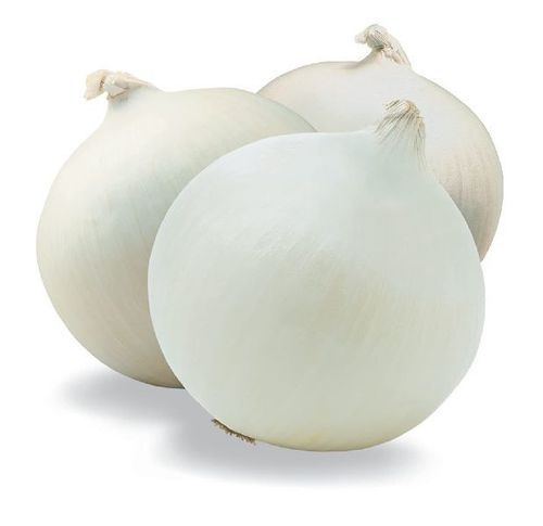 Enhance The Flavour Healthy Natural Rich Taste Organic Fresh White Onion
