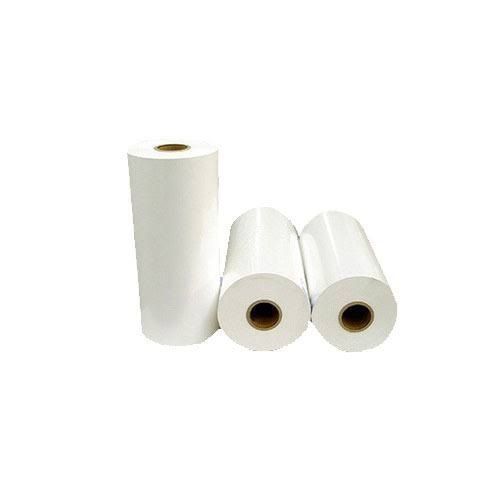 White High Grade Polyester Paper Film