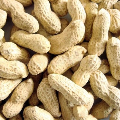 Iron 25 Percent Natural Rich Fine Taste Healthy Dried Brown Shelled Groundnuts