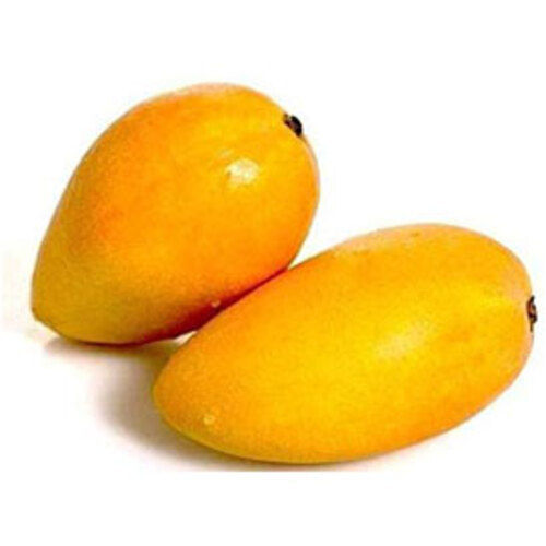 Sweet Delicious Rich Natural Taste Healthy Yellow Fresh Badami Mango