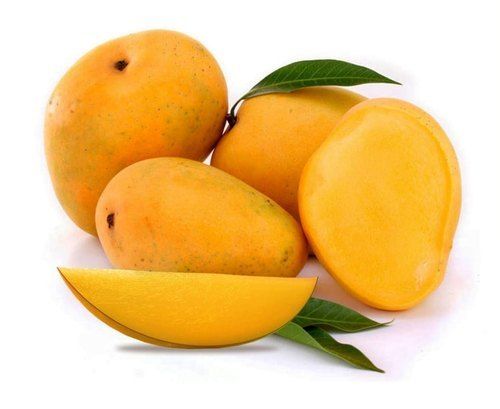 A Grade Organic Fresh Yellow Mango With Longer Shelf Life