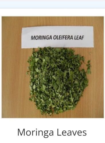 Green Color Dried Moringa Leaves Without Added Color And Artificial Flavour Shelf Life: 2 Years