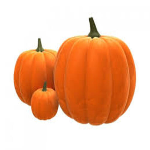 Healthy Natural Rich Delicious Taste Round Yellow Fresh Pumpkin