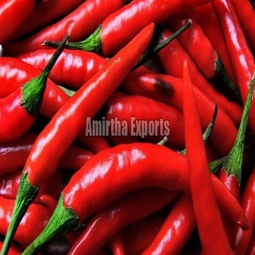 Solid Whole Spice Hot Spicy Natural Taste Rich In Color Organic Fresh Red Chilli