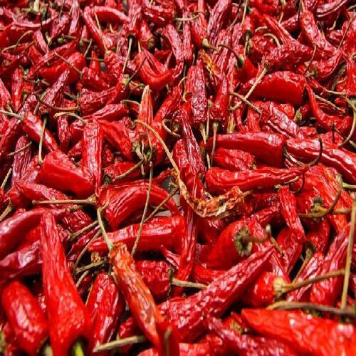 Solid Hygienic Packaging Hot Spicy Natural Taste Organic Dried Red Chilli