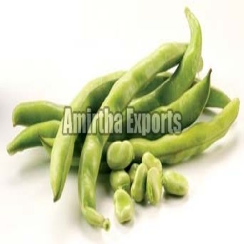 Maturity 100 Percent High Fibre Healthy Natural Taste Organic Green Fresh Beans
