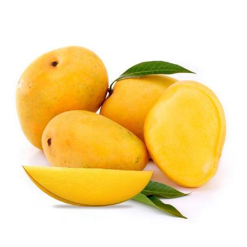 Maturity 100 Percent Sweet Delicious Rich Natural Taste Healthy Organic Yellow Fresh Mango