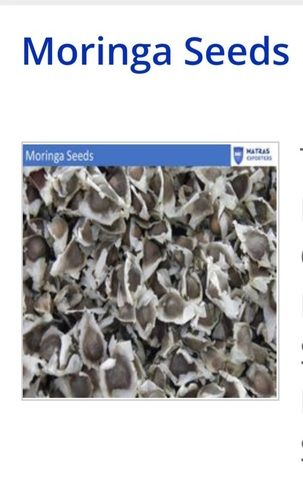 Moringa Seeds Herbal Extract Without Added Color And Artificial Flavour Shelf Life: 2 Years