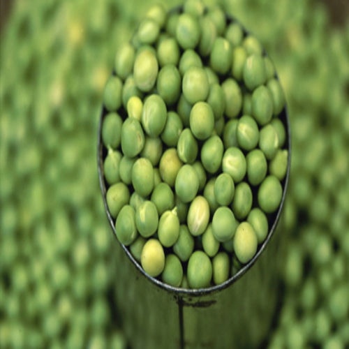Rich Delicious Healthy Natural Taste Fresh Green Peas