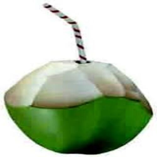 Rich in Water Healthy Natural Taste Green Fresh Tender Coconut