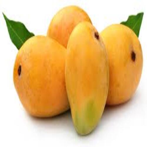 Sweet Delicious Rich Natural Taste Healthy Organic Yellow Fresh Mango