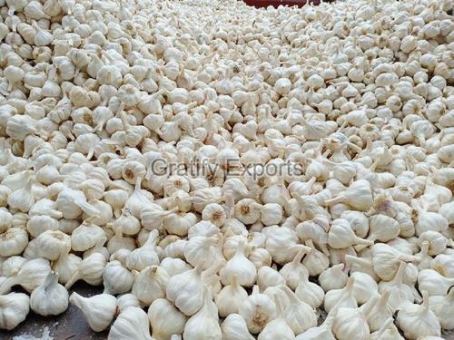A Grade Pure Hygienically Cultivated Rich Fresh Raw Garlic for Cooking