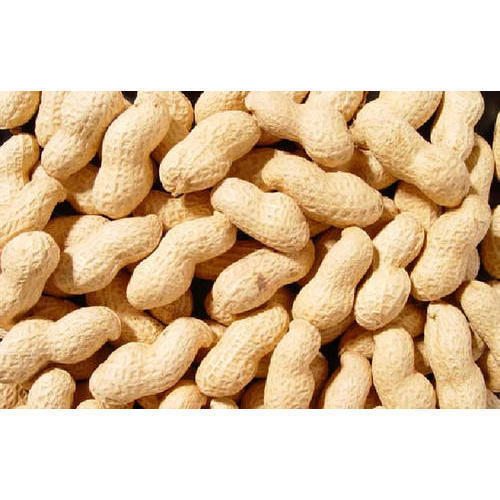 Ceramic Peanuts