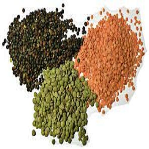 Rich Proteins, A Grade Pure Healthy And Organic Mixed Pulses Admixture (%): 2%