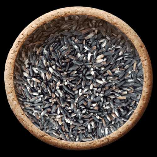 A Grade 100% Pure and Natural Fresh Black Color Paddy Seeds