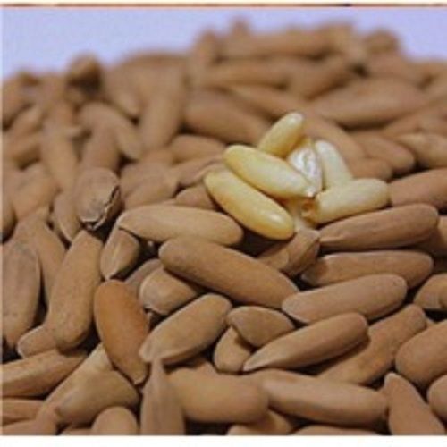 A Grade Fresh Pine Nuts Elongated Ivory Colored Seeds