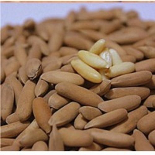 Common A Grade Fresh Pine Nuts Elongated Ivory Colored Seeds