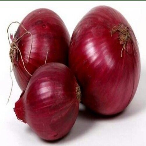 Healthy Natural Rich Taste Organic Red Fresh Big Onion