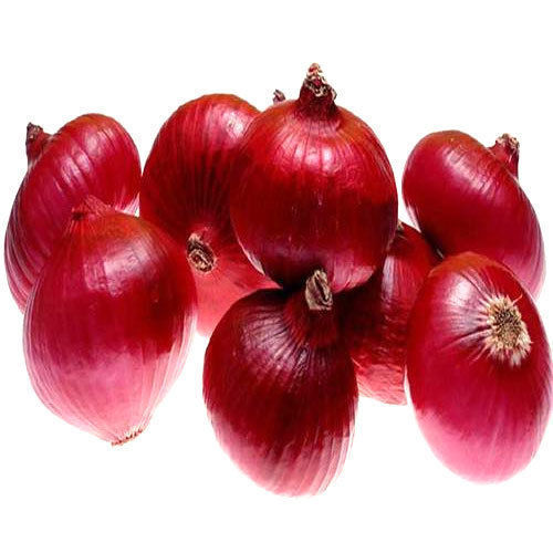 Maturity 100 Percent Rich Healthy Natural Taste Organic Fresh Red Onion
