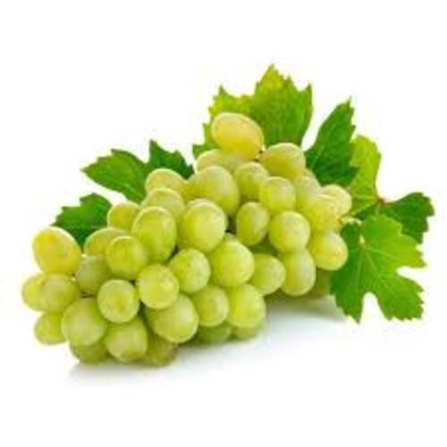 No Artificial Flavour Natural Taste Healthy Fresh Natural Green Grapes