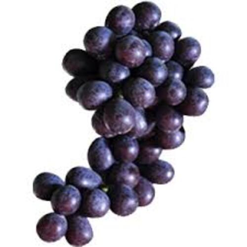 Pesticide Free Sweet Natural Taste Organic Fresh Thin Skin Black Grapes Origin: India